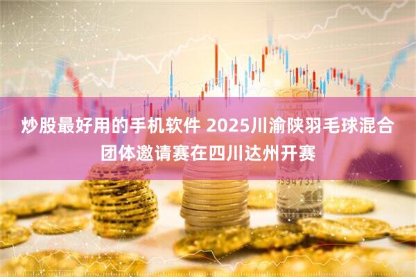 炒股最好用的手机软件 2025川渝陕羽毛球混合团体邀请赛在四川达州开赛