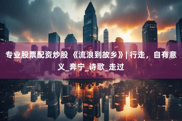 专业股票配资炒股 《流浪到故乡》| 行走，自有意义_奔宁_诗歌_走过