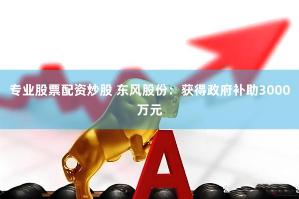 专业股票配资炒股 东风股份：获得政府补助3000万元
